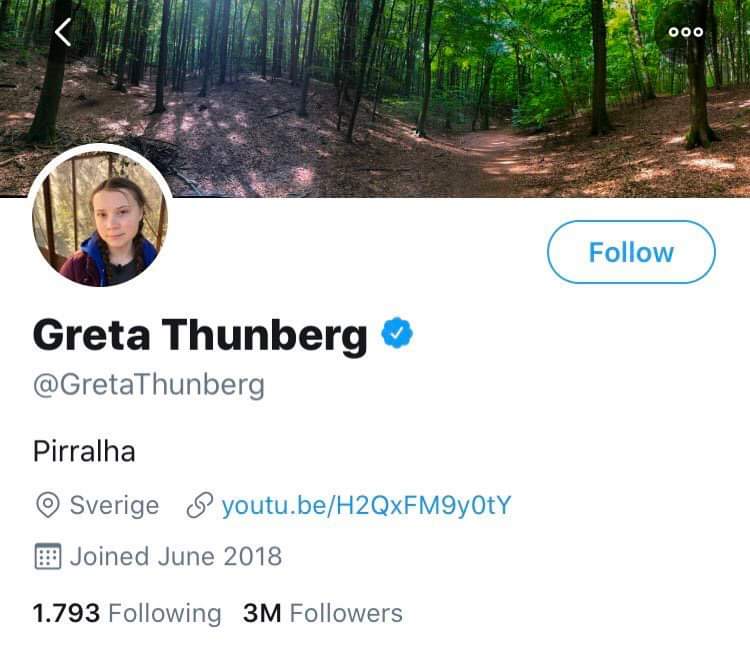 twitter_greta
