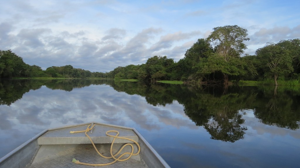 Barco navega em rio na Amazônia, que reflete céu azul e árvores